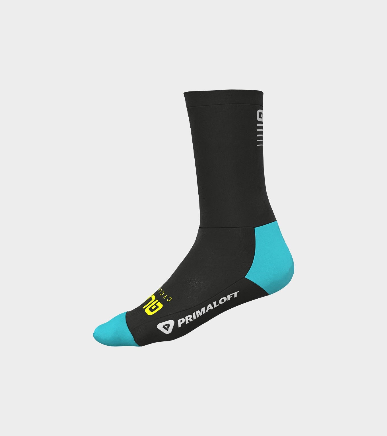 Thermo 1.0 Winter Sock