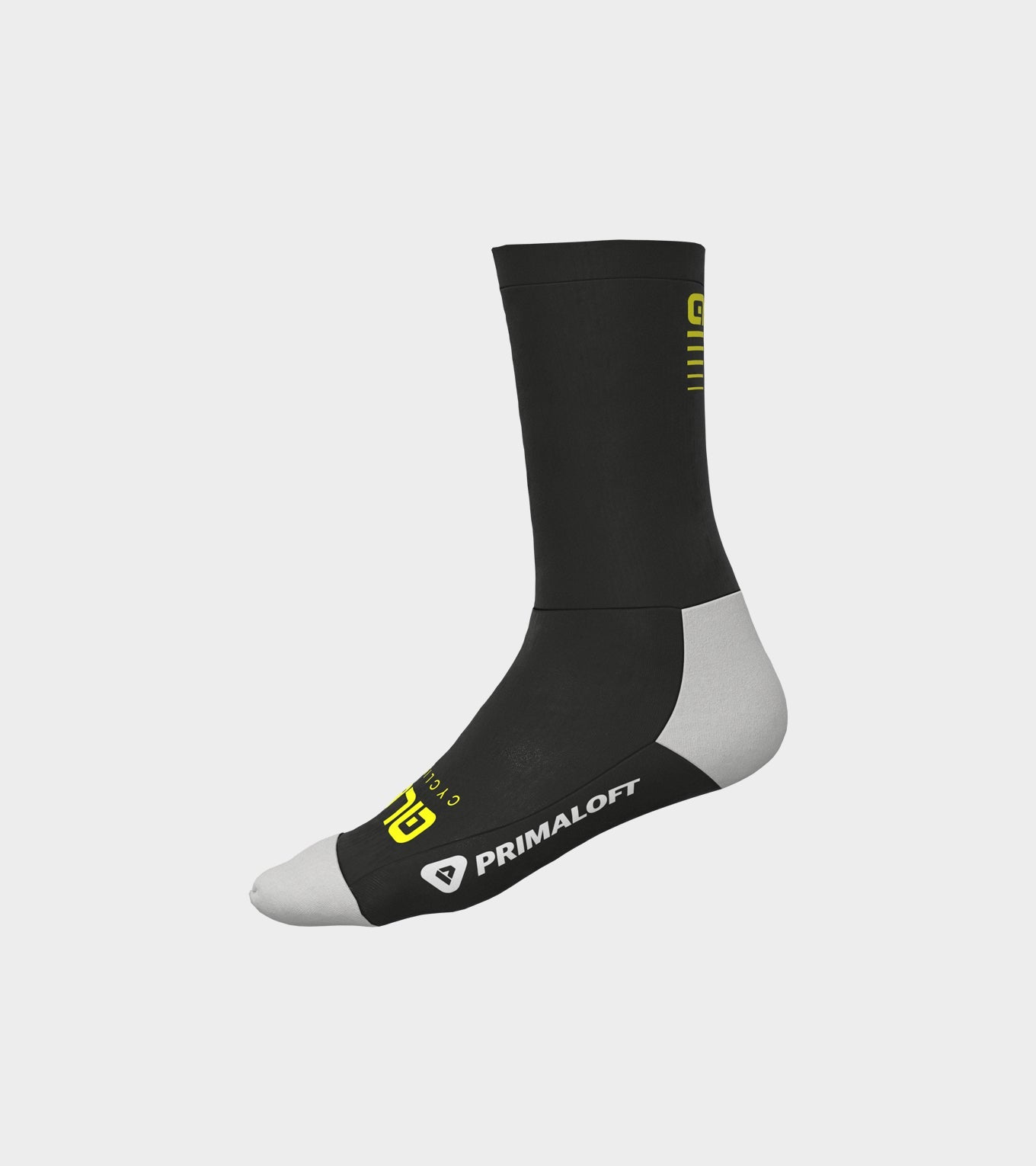 Thermo 1.0 Winter Sock