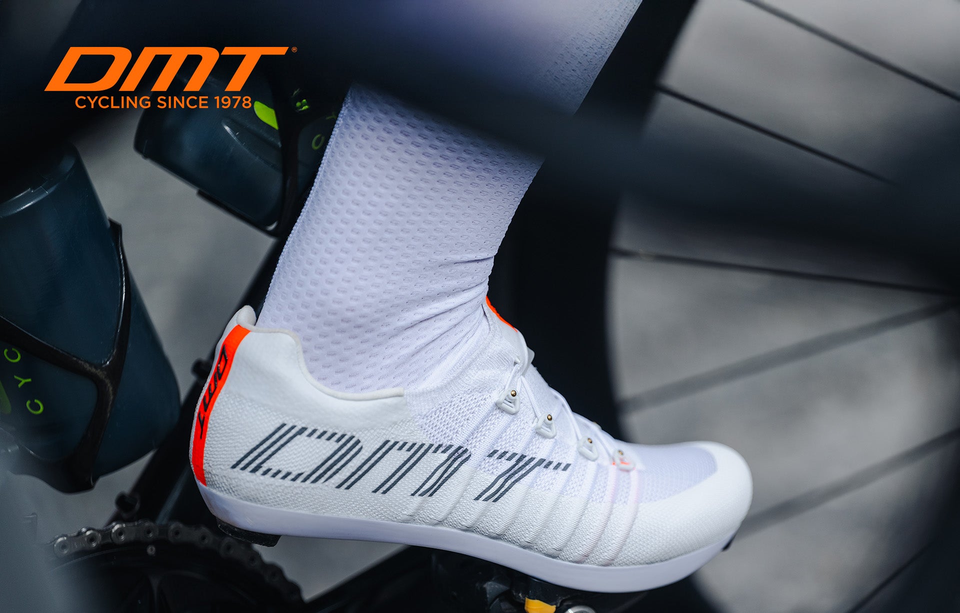 Collection  banner image 1